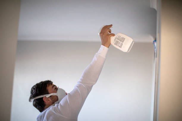 Best Mold Remediation Services  in Sansom Park, TX