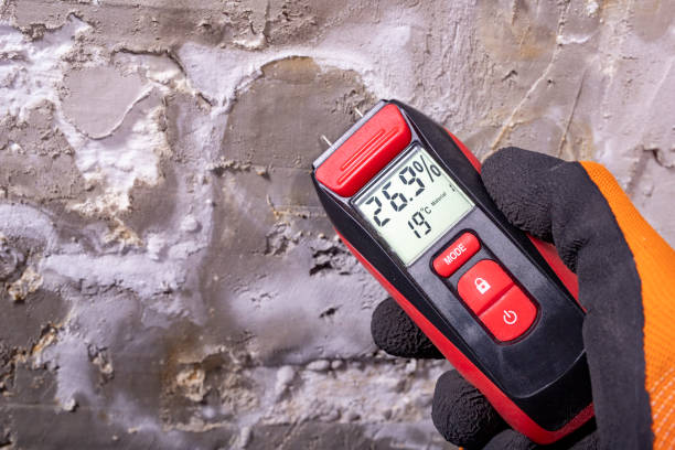 Best Office Mold Removal Services  in Sansom Park, TX